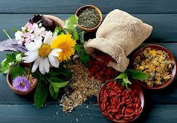 تصویر 4 از خرید و قیمت گیاه دارویی ارگانیک + فروش صادراتی